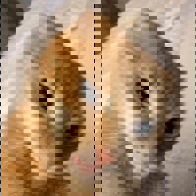 loreal's Avatar